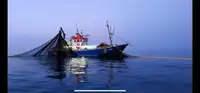 Trawler en venta