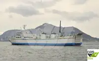 Buque Ro-Ro en venta