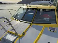Buque de crucero en venta