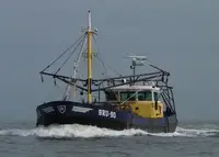 Draga en venta