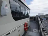 Catamarán en venta