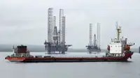 Granelero en venta