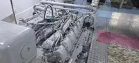 Buque de crucero en venta