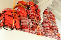 Buque de ferry en venta
