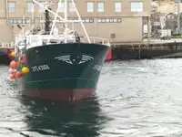 Arrastrero en venta