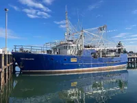 Arrastrero en venta
