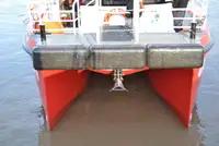 Catamarán en venta