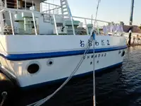 Buque de crucero en venta