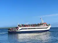Buque de pasajeros en venta