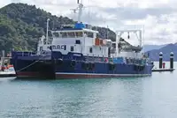 Buque de crucero en venta