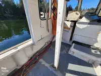 Buque de procesamiento de pescado en venta