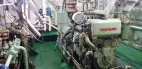 Buque granelero en venta