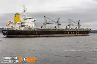 Buque granelero en venta