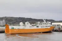 Buque Ro-Ro en venta