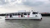 Catamarán en venta