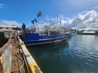 Arrastrero en venta