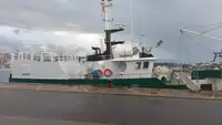 Arrastrero en venta