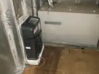 Buque de crucero en venta