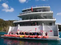 Catamarán en venta