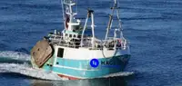 Beam trawler en venta