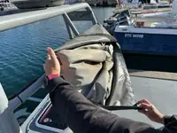 Patrullera en venta