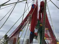 Arrastrero en venta
