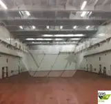 Buque Ro-Ro en venta