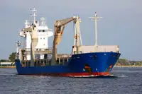 Granelero en venta