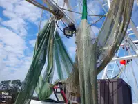 Arrastrero en venta
