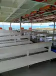 Buque de crucero en venta
