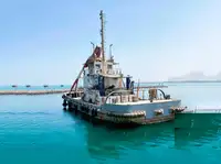 Barcos de trabajo en venta