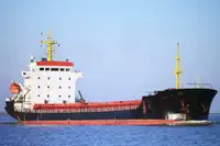Granelero en venta