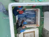 Arrastrero en venta