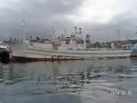 Palangrero en venta