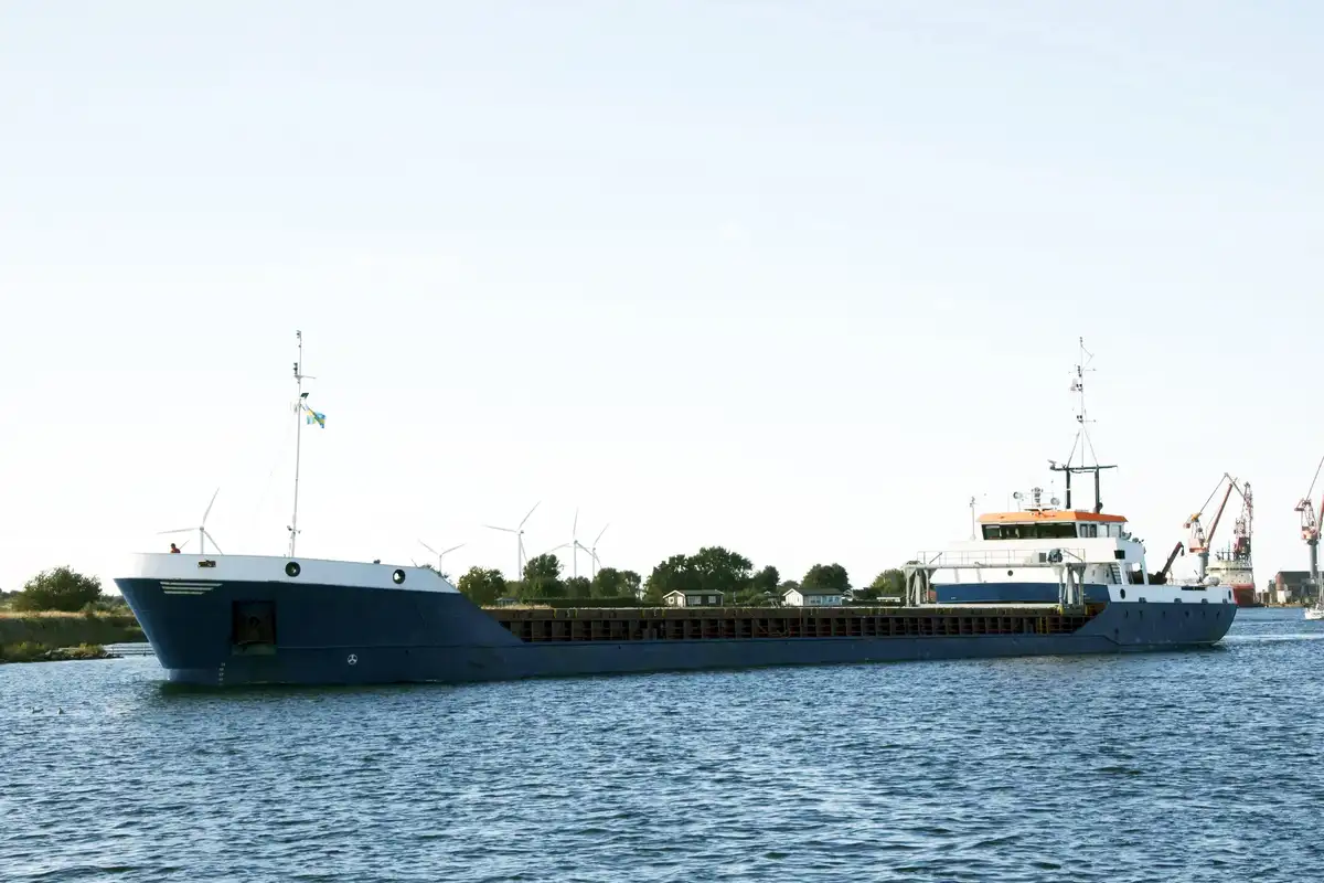 Buque granelero en venta