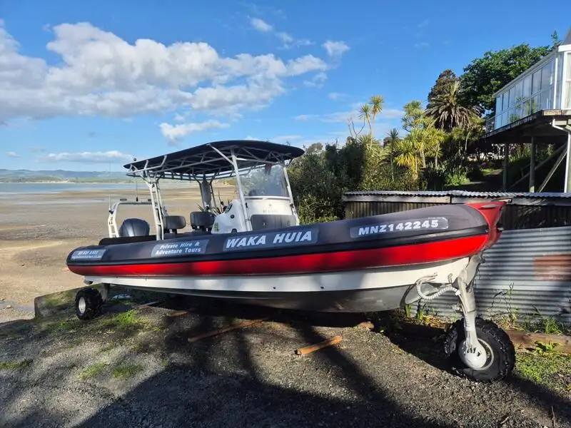 Anfibio en venta