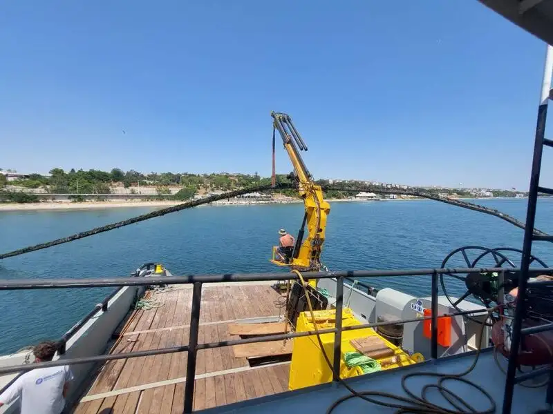 Barcos de trabajo en venta