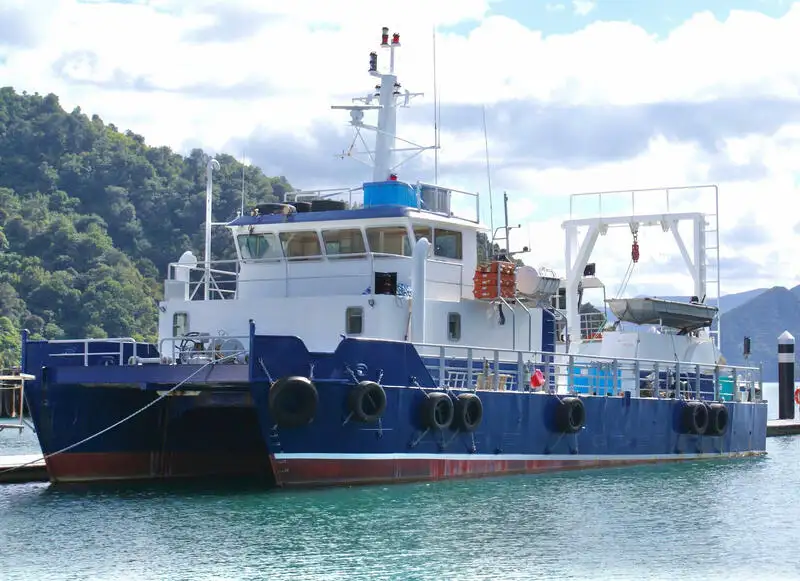 Catamarán en venta