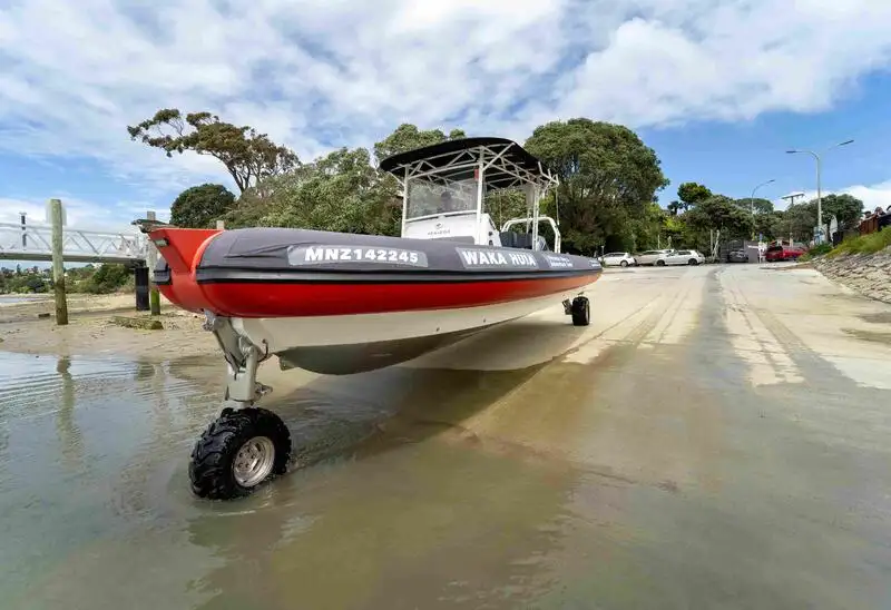 Anfibio en venta