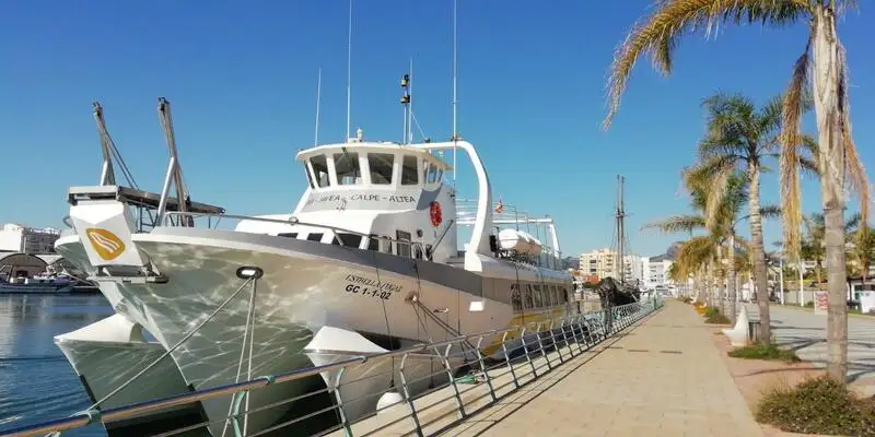 Barco de transbordador en venta