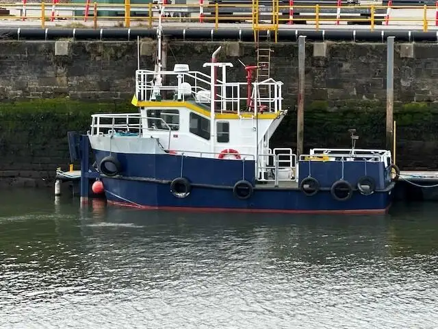 Barcos de trabajo en venta