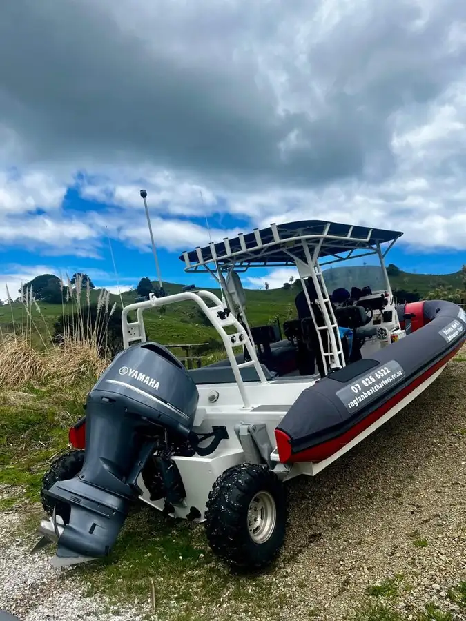 Anfibio en venta