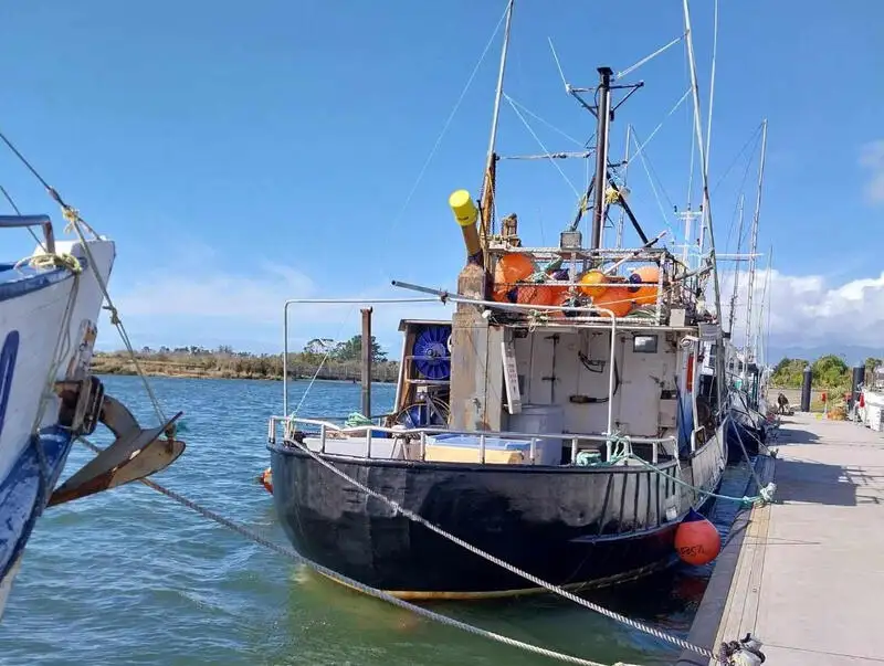 Buque palangrero en venta