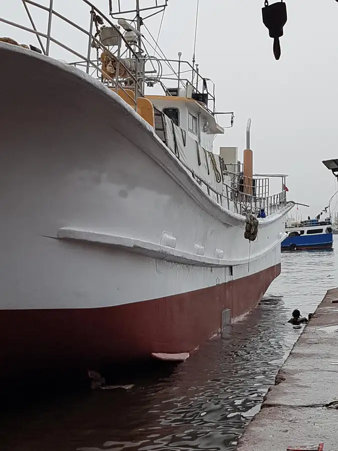Buque palangrero en venta