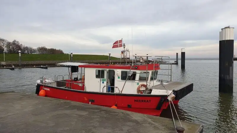 Catamarán en venta