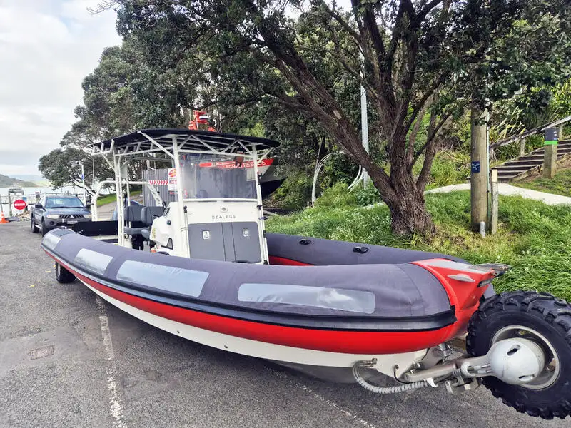 Anfibio en venta