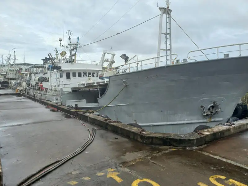 Buque palangrero en venta