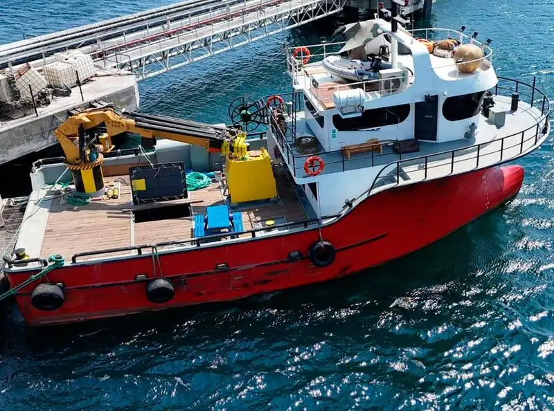 Barcos de trabajo en venta