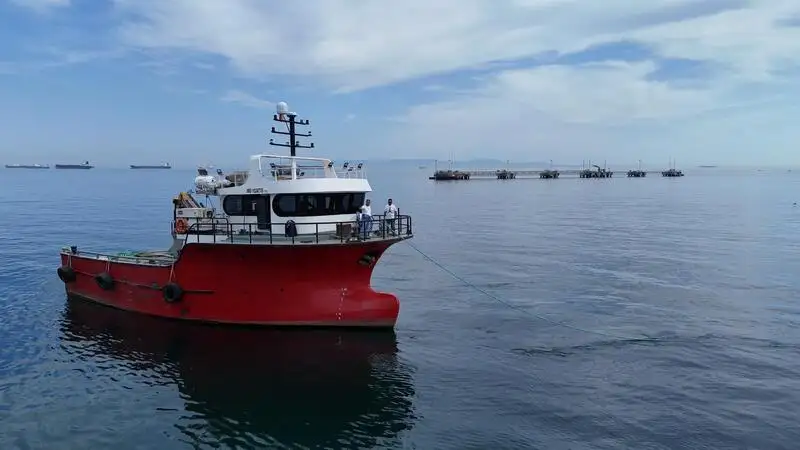 Barcos de trabajo en venta