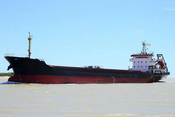 Bulk carrier for sale